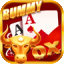 teen patti palace apk icon