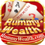 rummy meet download